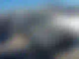 Vehicle Image- 1999 Honda Accord