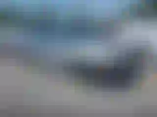 Vehicle Image- 2001 Honda Accord