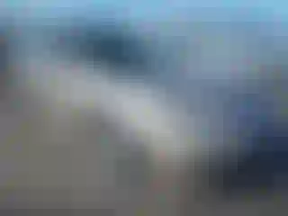 Vehicle Image- 2001 Honda Accord