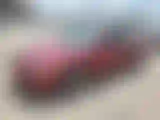 Vehicle Image- 2002 Honda Accord