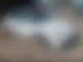 Vehicle Image- 2002 Honda Accord