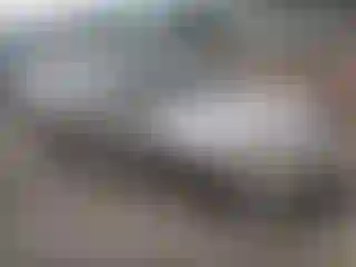 Vehicle Image- 1998 Honda Accord