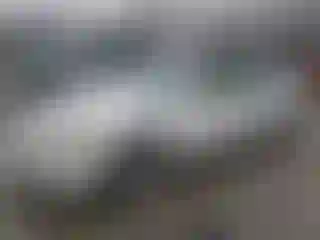 Vehicle Image- 1999 Honda Accord