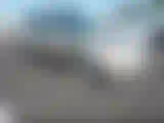 Vehicle Image- 2000 Honda Accord