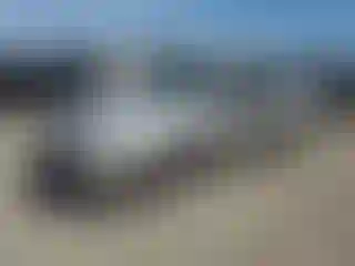 Vehicle Image- 1998 Honda Accord