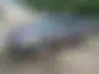 Vehicle Image- 2000 Honda Accord