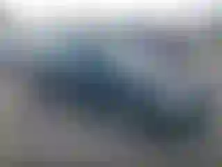 Vehicle Image- 2001 Honda Accord