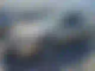 Vehicle Image- 2000 Honda Accord
