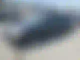 Vehicle Image- 1998 Honda Accord