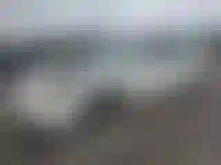 Vehicle Image- 2000 Honda Accord