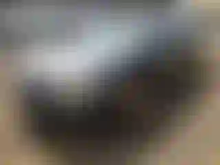 Vehicle Image- 2000 Honda Accord