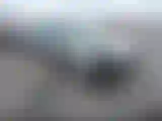 Vehicle Image- 2000 Honda Accord