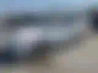 Vehicle Image- 2001 Honda Accord
