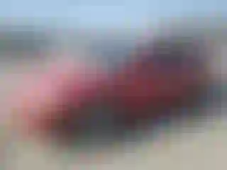Vehicle Image- 2000 Honda Accord