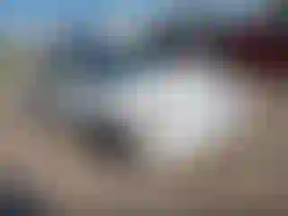 Vehicle Image- 1999 Honda Accord