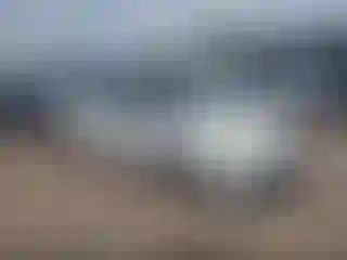 Vehicle Image- 2000 Honda Accord