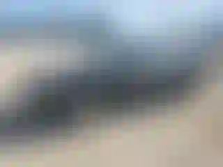 Vehicle Image- 2001 Honda Accord