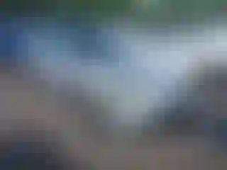 Vehicle Image- 2002 Honda Accord