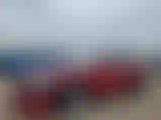Vehicle Image- 2000 Honda Accord