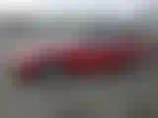 Vehicle Image- 2001 Honda Accord