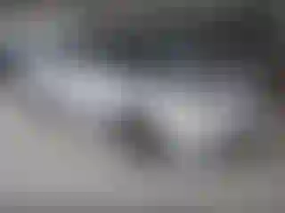 Vehicle Image- 2001 Honda Accord