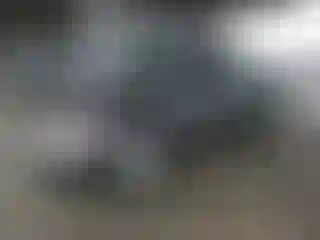 Vehicle Image- 1998 Honda Accord