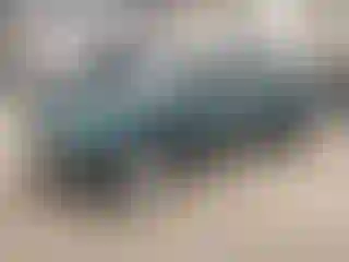 Vehicle Image- 2002 Honda Accord