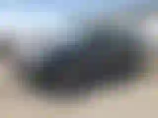 Vehicle Image- 2000 Honda Accord