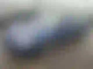 Vehicle Image- 2001 Honda Accord