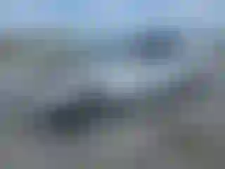 Vehicle Image- 1999 Honda Accord