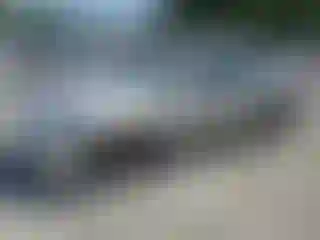 Vehicle Image- 1998 Honda Accord