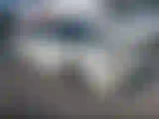 Vehicle Image- 2002 Honda Accord