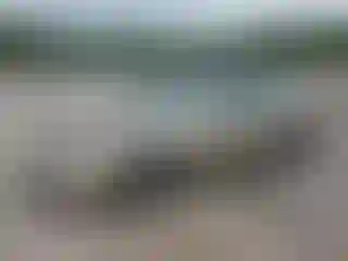 Vehicle Image- 2000 Honda Accord