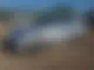 Vehicle Image- 2002 Honda Accord
