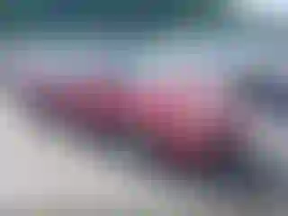 Vehicle Image- 2002 Honda Accord