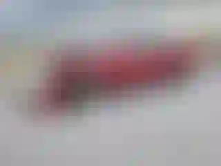 Vehicle Image- 2002 Honda Accord