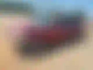 Vehicle Image- 2002 Honda Accord