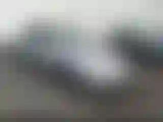 Vehicle Image- 2002 Honda Accord