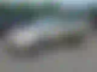 Vehicle Image- 2000 Honda Accord