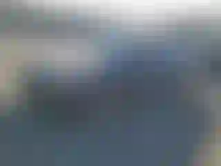 Vehicle Image- 2002 Honda Accord