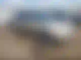 Vehicle Image- 2000 Honda Accord