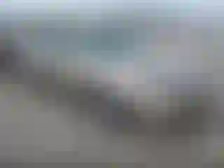 Vehicle Image- 2000 Honda Accord