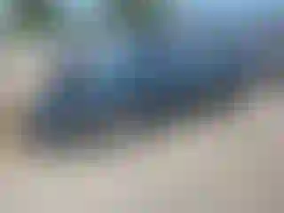 Vehicle Image- 2000 Honda Accord