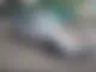 Vehicle Image- 2000 Honda Accord