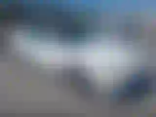 Vehicle Image- 1998 Honda Accord