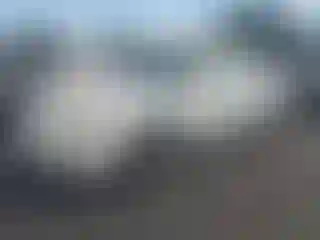 Vehicle Image- 2000 Honda Accord