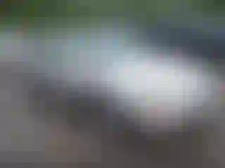 Vehicle Image- 1998 Honda Accord