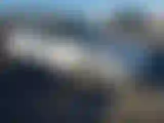 Vehicle Image- 1998 Honda Accord