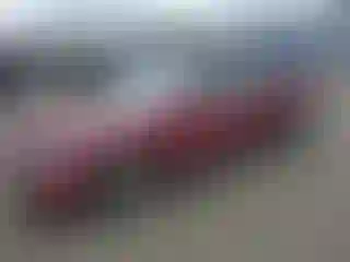 Vehicle Image- 2001 Honda Accord