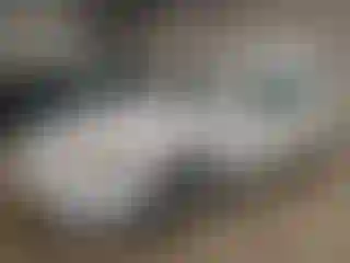 Vehicle Image- 2000 Honda Accord